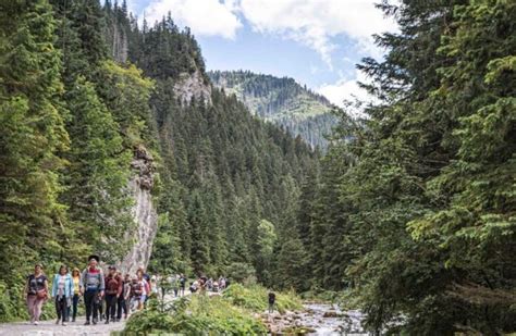 Zamkni Te Szlaki W Tatrach Remonty Zakopane Info