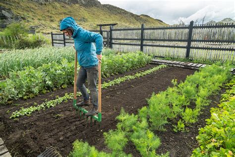 Agricultura Regenerativa