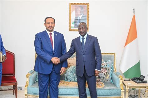 President of Cote d'Ivoire National Assembly Meets Qatar's Ambassador