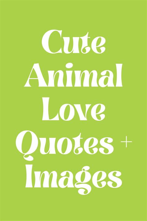 Cute Animal Love Quotes + Images - Darling Quote