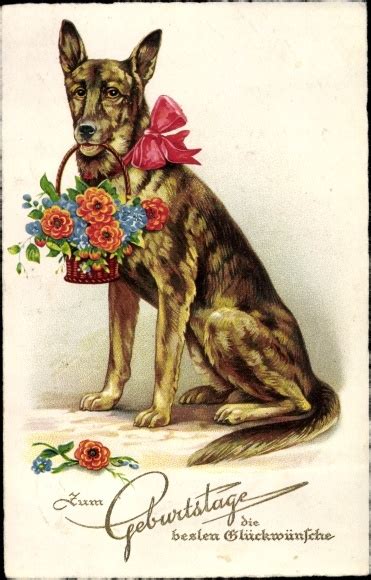 Ak Glückwunsch Geburtstag Deutscher Schäferhund mit Korb voller Blumen