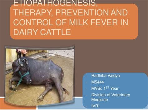 Etiopathogenesis, therapy, prevention and control of milk fever in da…