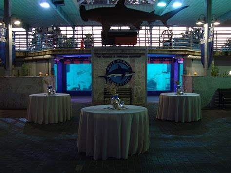 Mote Aquarium is perfect for an evening reception and rental includes ...