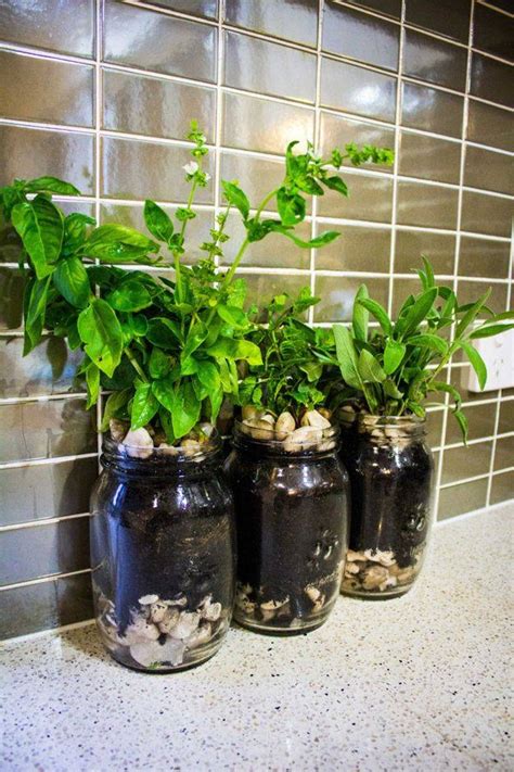 18 DIY Indoor Herb Garden Planters Ideas You Cannot Miss | SharonSable