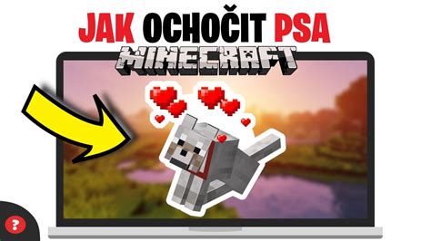 Jak ochočit PSA v MINECRAFTU Návod MINECRAFT PC YouTube