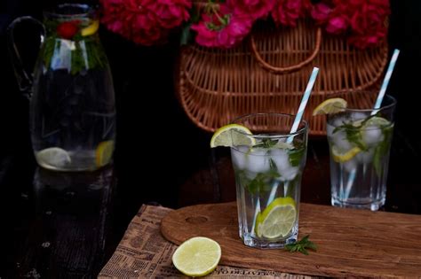 Mojito Fait Maison Au Citron Vert Et à La Menthe Régime Rafraîchissant