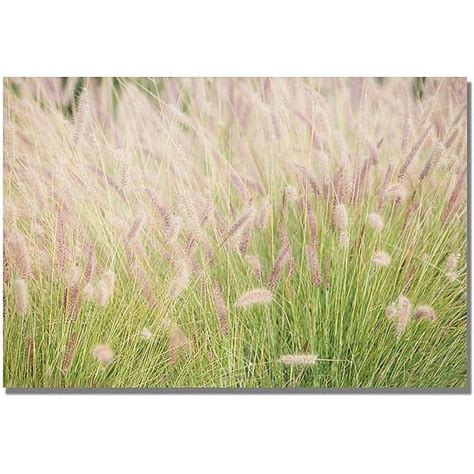 Trademark Fine Art Wild Breeze Ii Canvas Wall Art By Ariane Moshayedi