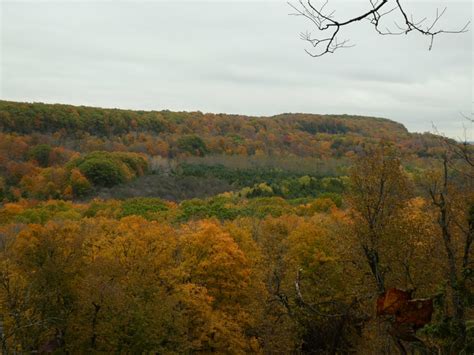 Crawford Lake loop (reservation required) - DATE CHANGE - Bruce Trail Conservancy - Hike Schedule