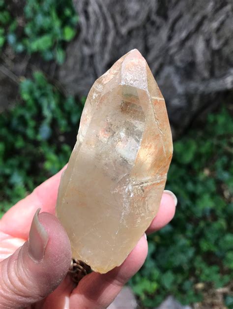 Lb Lemurian Seed Tabby Raw Orange Clear Etched Keyed Bridge