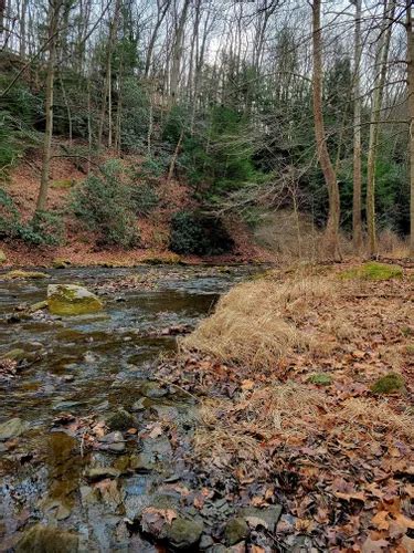 Best 10 Hiking Trails In Tomlinson Run State Park AllTrails