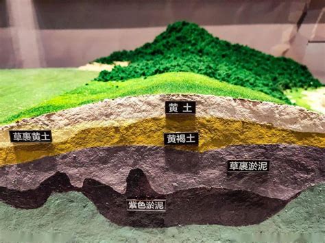 土壤分层诊断 表层