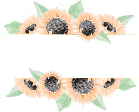 Sunflower Border PNGs for Free Download