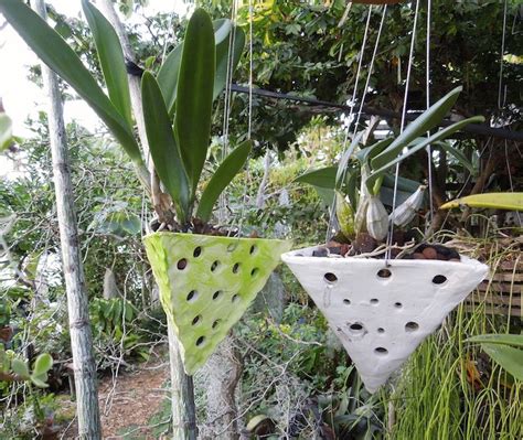 Great Hanging Orchid Pots With Holes Staghorn Basket