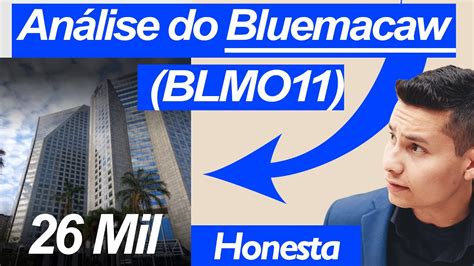 Análise do Bluemacaw office II FII BLMO11 por 26 mil Analise