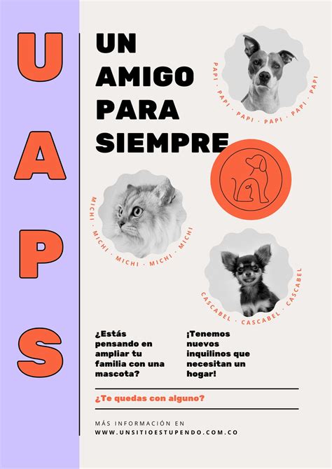 Es Gratis Adoptar Un Cachorro