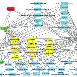 Edc Gene Interaction Network The Red Round Rectangles Refer To The Edc