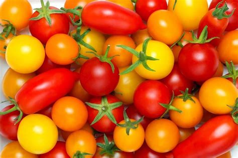 Tomato Harvest Garden Tips | The Leaf Nutrisystem Blog