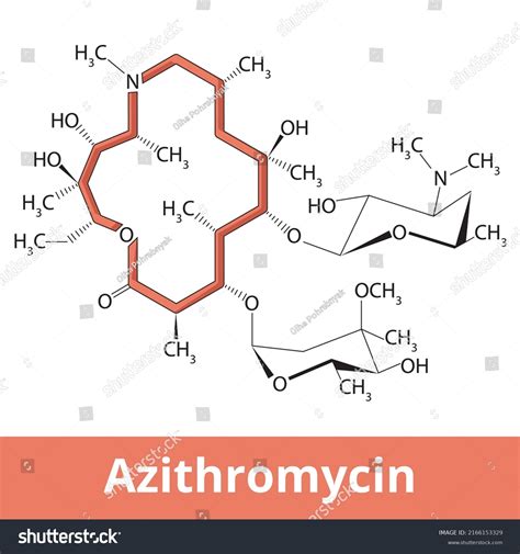 Chemical Structure Azithromycin It Antibiotic Medication Stock Vector