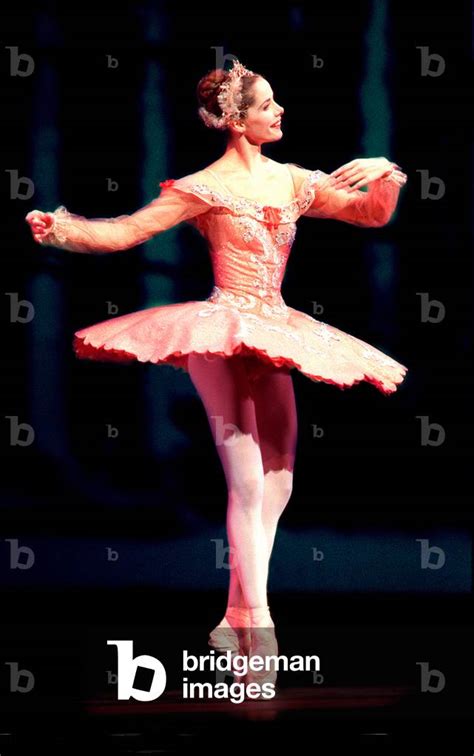 Image Of Darcey Bussell Dancing British