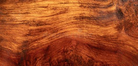 Natural Afzelia Burl Wood Stripe Stock Photo Image Of Overhead