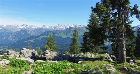 Allgäu Halbtagestouren kurz Oberstdorf Sonthofen Hindelang Allgäu