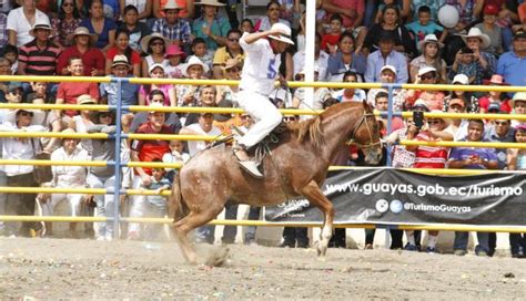 Con Rodeos Y Cabalgatas Muestran La Identidad Montuvia Del Guayas