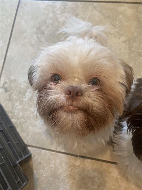 My Boys Two Bottom Teeth Never Grew In Has Anyone Else Ran Into This