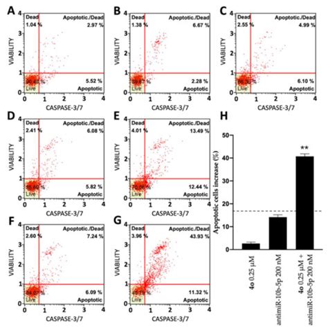 Ijms Free Full Text Synergistic Effects Of A Combined Treatment Of