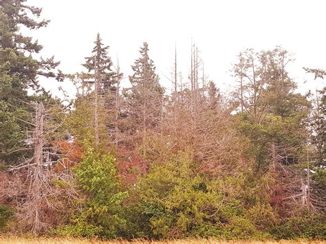 Olympia Workshop: Climate Adaptation Strategies for Pacific Northwest