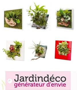 Magazine Petit Jardin N Mars Jardinage Plantes Et Fleurs