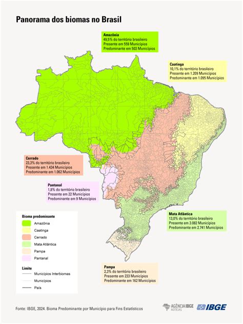 IBGE define bioma predominante em cada município brasileiro para fins