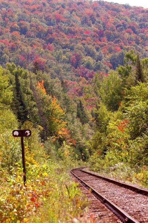 Woodstock/Quechee fall foliage tour #VermontFall | Fall foliage tour ...