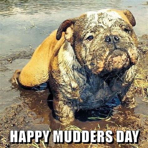 Happy Mudders Day I Has A Hotdog Dog Pictures Funny Pictures Of