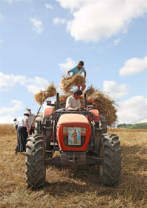 Festa Del Grano Raccolte Le Spighe Per Sant Anna Il Luglio La Sfilata