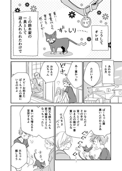 「拾った猫の飼い主を探す話 910 猫の日 」ふじつか雪85ほろよい12巻の漫画