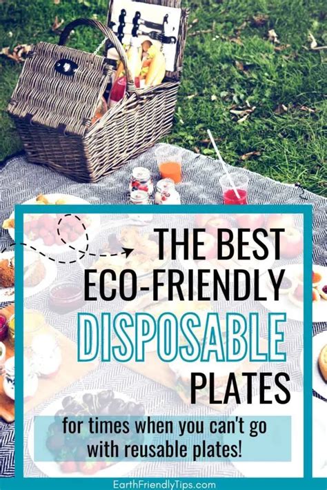 Best Eco-Friendly Disposable Plates for a Sustainable Party