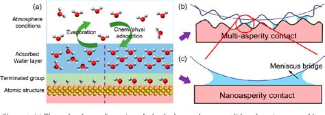 Pdf Thickness And Structure Of Adsorbed Water Layer And Effects On