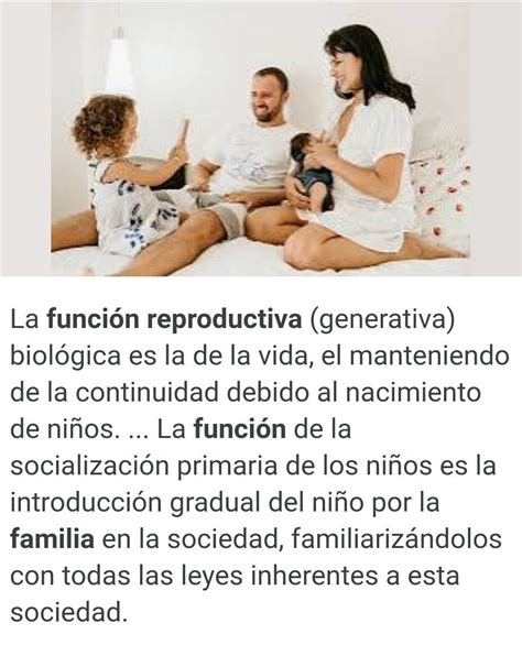 funciónes reproductiva de la familia Brainly lat