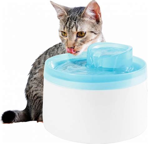 Fontaine Eau Silencieuse Pour Chat L