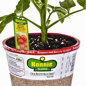 Bonnie Plants (bonnieplants) on Pinterest