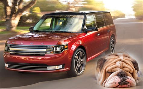 10 Best Cars For Dogs Zero To 60 Times