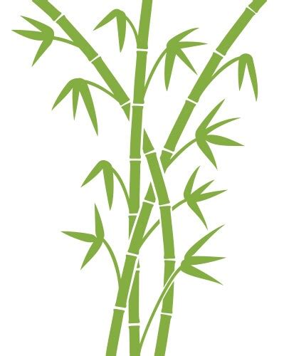 Green Bamboo Stems With Leaves Royalty Free Vector Image