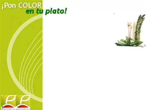 Ppt Caracter Sticas Y Propiedades Nutricionales De Los Esp Rragos