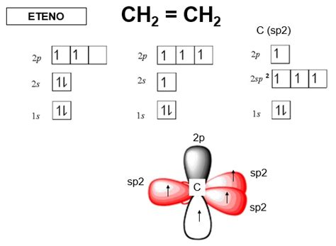 LA FORMACIÓN DEL ETENO EJEMPLIFICA CÓMO TIENE LUGAR LA HIBRIDACIÓN sp2