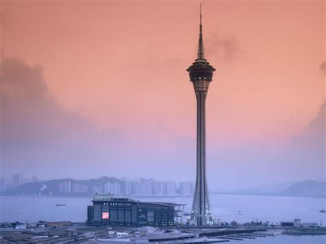 Macau Tower | Moller Architects