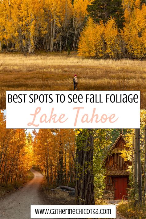 Best Spots to See Fall Foliage in Lake Tahoe - Catherine Chicotka