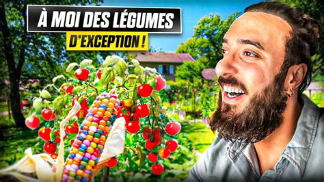 MON PREMIER POTAGER YouTube