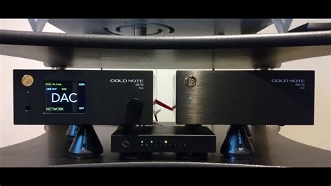 Gold Note DS 10 Steaming DAC With PSU 10 EVO Power Supply And Gold Note