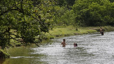 Confira Dicas Para Aproveitar Os Banhos De Rios Seguran A Em Joinville