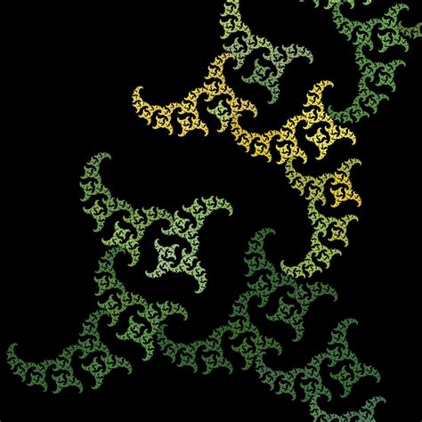 Green Fern Free Stock Photo - Public Domain Pictures